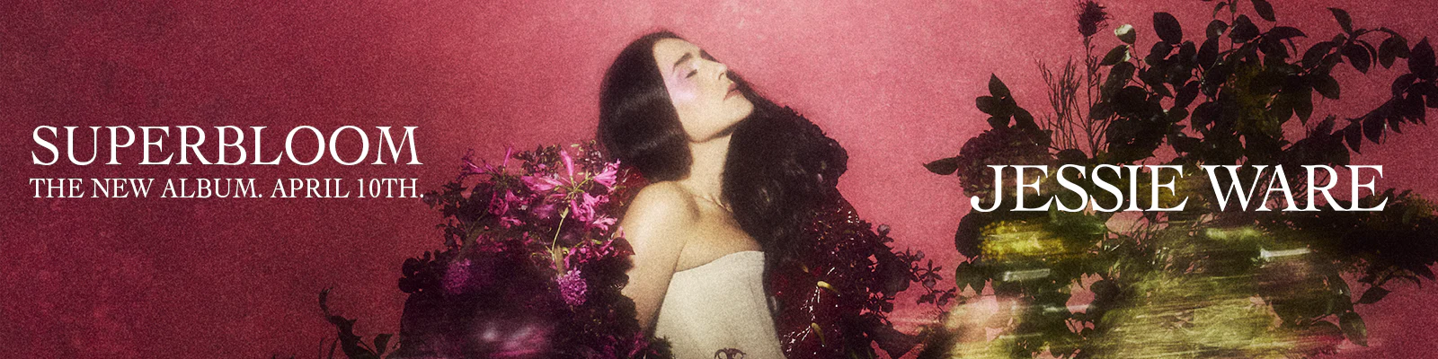 Iconic Sound, Exclusive Access